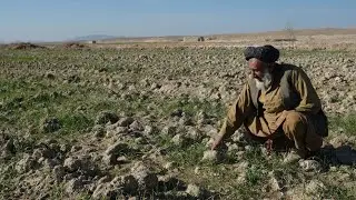 АФГАНИСТОН ДЕХКОНЛАРИ