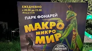 Зеленоградск. Микро мир. Парк фонарей.