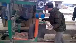 Пилорама дисковая горизонтальная Алтай-ДПА560