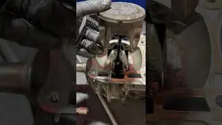 Австрийское чудовище! Чего тебе не хватило?