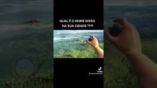 QUAL É O NOME DISSO NA SUA CIDADE ?