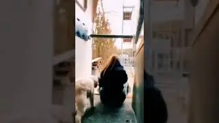 Fail😂🤕 #fail #shorts #youtubeshorts #funny #humor #юмор #приколы #trending