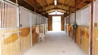 Louhans  propriété equestre 7 pièces 4 chambres à Louhan