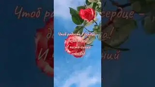 Стихотворение – храни вас Бог