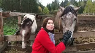 Внутренний туризм. Урал, Нижние Серги. Canada park и Новая Ельня