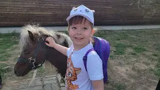Baby on the palm of your hand is the best touching zoo. Their exit to the street.