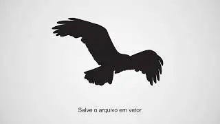 Verniz Local Profissional | Gráfica Atual Card