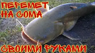 #сом