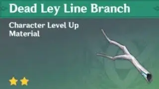 HOW TO GET DEAD LEYLINE BRANCH Genshin Impact