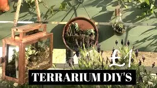 TERRARIUM DIY IDEAS FOR SUCCULENTS & CACTI | POUNDLAND DIY