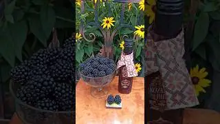Ожина без колючок. Перший урожай.     🍇🍇🍇