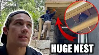 How I Made $996 in One Day as a Pest Control Technician