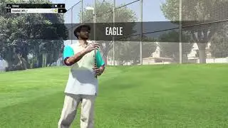 Grand Theft Auto V Eagle