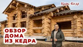 Обзор дома из Кедра. Строительство домов и бань из Алтайского кедра.
