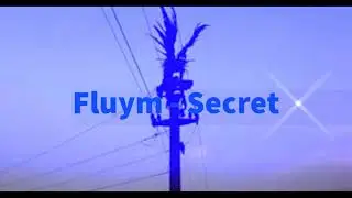Fluym - Secret (Official Audio)