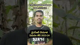 YSR Cheyutha - YSR Cheyutha Latest News - YSR Cheyutha Amount Release Date