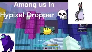 Sus | Hypixel Dropper (Part 2)