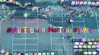 #comprafloresnopapeldeWC