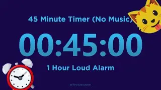 45 minute Timer Countdown (No Music) + 1 Hour Loud Alarm