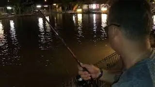 Eddie gets a fish tonight
