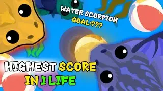 Mope.io| Challenge GOAL as many Beach Balls as you can in 1 LIFE|Maybe a World Record !!?