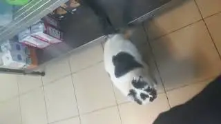 Ну чего так не жить-то 😉