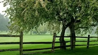 💫 Beautiful Nature Scenery with Relaxing Music   Sleep, Study, Work, Meditation 🙏