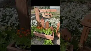 Декор для сада🌸#рукоделие#diy#garden#декор#садогород#дача#цветы#поделкасвоимируками#творчество