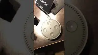 Amazon Echo Dot (Gen 2) - Playing Music