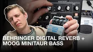 Behringer Digital Reverb + Moog Minitaur (no talking) SoundToys SpaceBlender, Ableton Hybrid Reverb