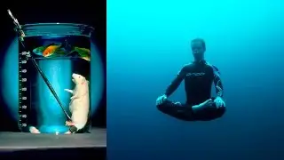 Liquid breathing. How to breathe under water?
