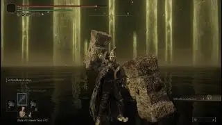 Elden Beast vs strength build