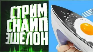 Топ моменты Twitch, YouTube | Стримснайп wow classic | Wpvp Гильдия Эшелон | сервер Пламегор | 12%