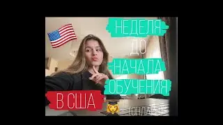 Неделя до АМЕРИКАНСКОЙ школы 🇺🇸😱/ zoom и нервная Лиза /серия 5