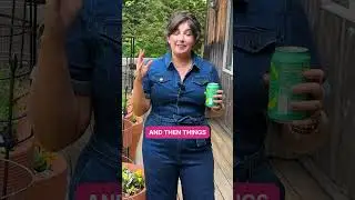 Gardening on a budget? I got you!