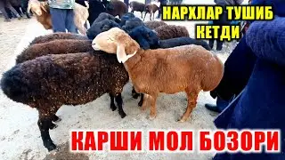 КАШКАДАРЁДА КАРШИ МОЛ БОЗОРИ НАРХЛАРИ QARSHI MOL BOZORI NARXLARI