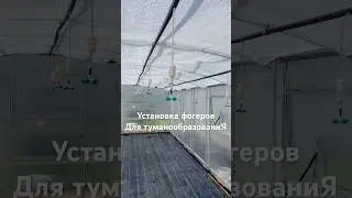 Форсунка вообще не должна капать. #кассеты #черенкование