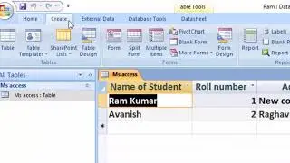 Microsoft access 2007 beginner video in hindi and english