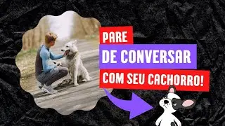 Não Fale Com Seu Cão! Entenda!