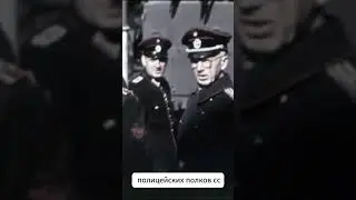 35-я полицейская пехотная дивизия СС  #германия #история #ww2 #сс  #война #полиция #army