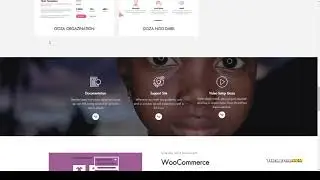 Goza - Nonprofit Charity WordPress Theme donate foundation Amamiya