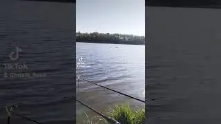 Вот так и выглядит мое счастье)) #рыбалка #рыбалкавбеларуси #жизнь