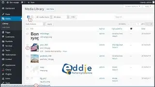 How to get image ID in wordpress - Use Wordpress shortcode for amazing image effects