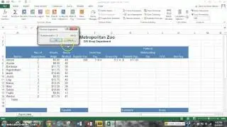 Project 2:  Excel Formulas & Functions [STEPS 4 - 9]