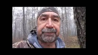 Короткая охота на чирка  Октябрь 23г