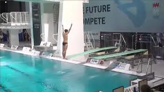 Men 1m - Eindhoven Diving Cup 2024