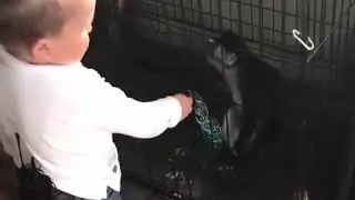 ХАСБУЛЛА / ИСПУГАЛСЯ 😂