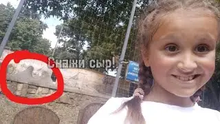 Все животные в зоопарке!