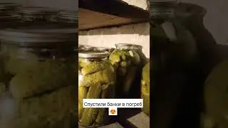 первые банки огурцов  уже в погребе 😍