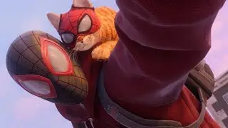 Спасение кота паука в Spider-Man: Miles Morales 🔇